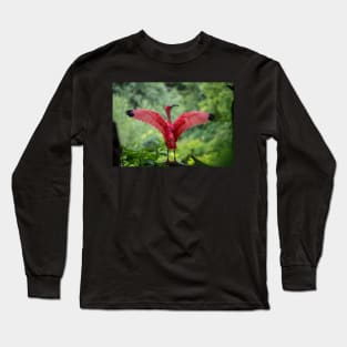 Scarlet Ibis Long Sleeve T-Shirt